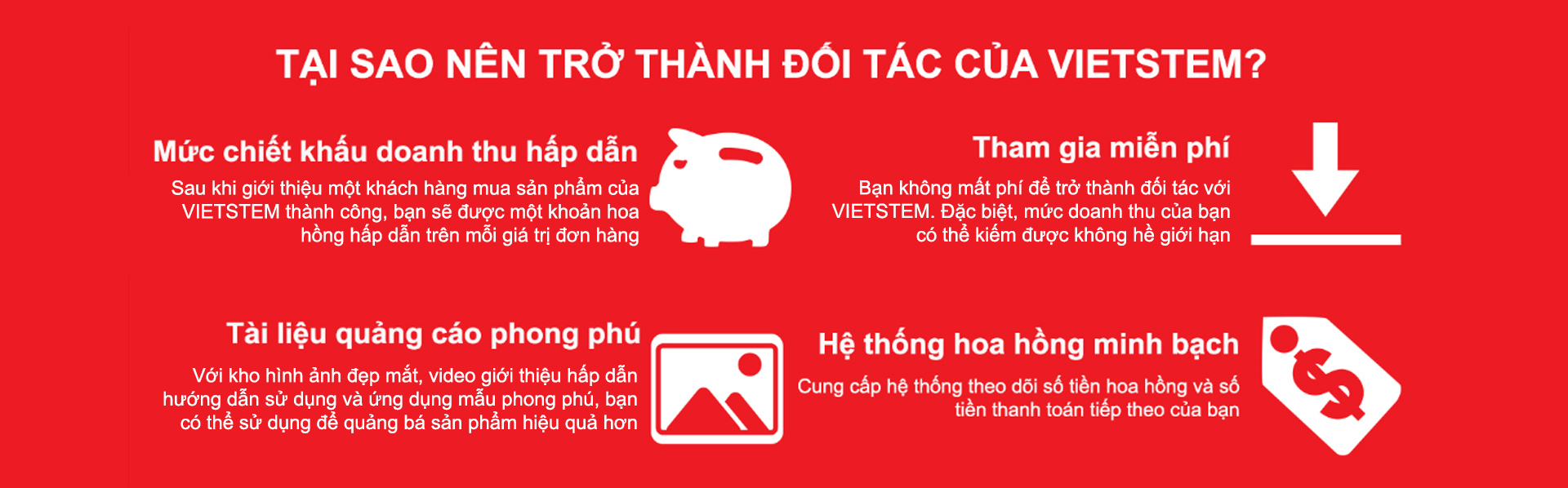 Bạn đã trải nghiệm khóa học lập trình